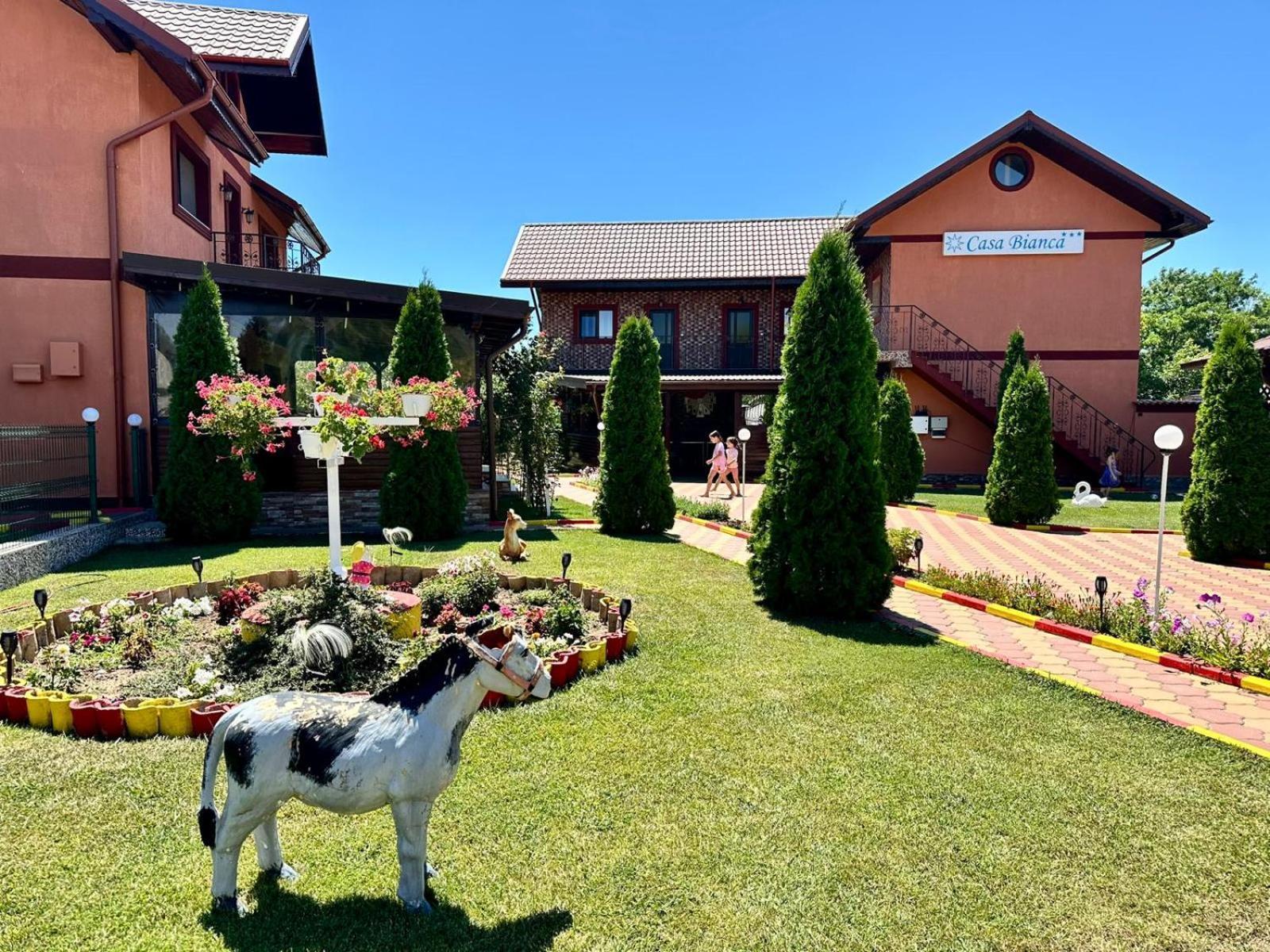 Pensiunea Bianca Hotel Corbu  Luaran gambar
